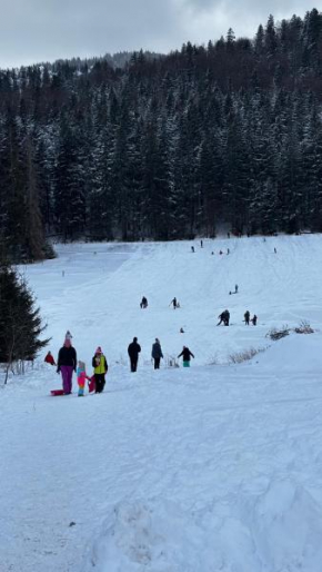 Willa Na Potoku, Zakopane